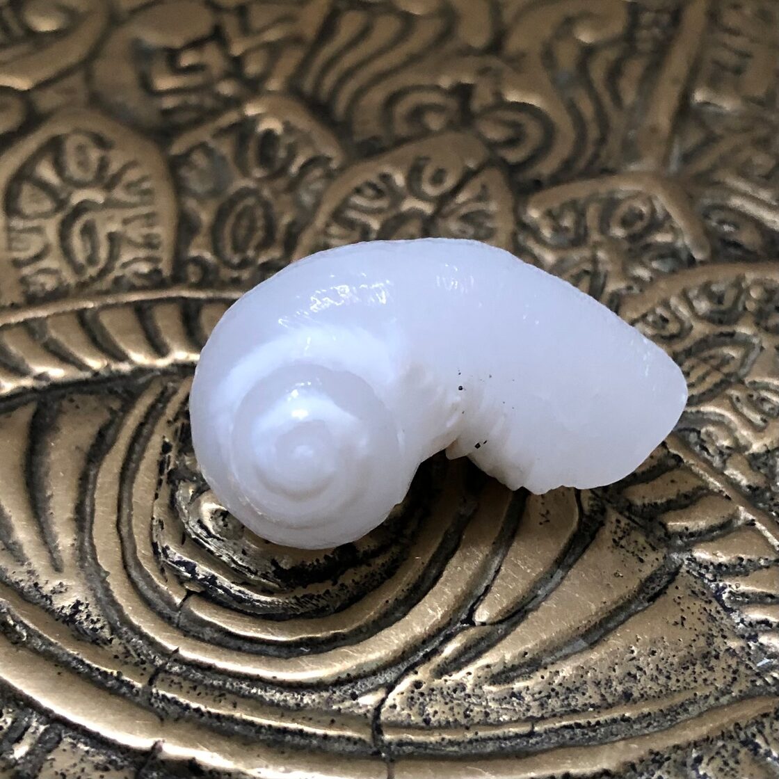 ケオン。.:*♡ 華々しく