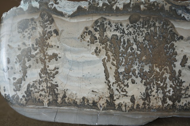 コタム・マーブル Cotham Marble 2028