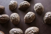 フランス  脳の外臓または、リスの創造物　胡桃のモールド  アンティーク