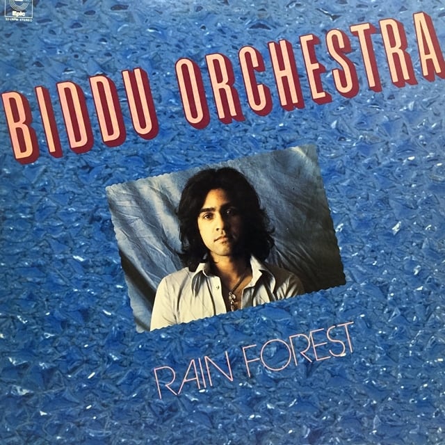 Biddu Orchestra / Rain Forest [25AP 192] - 画像1