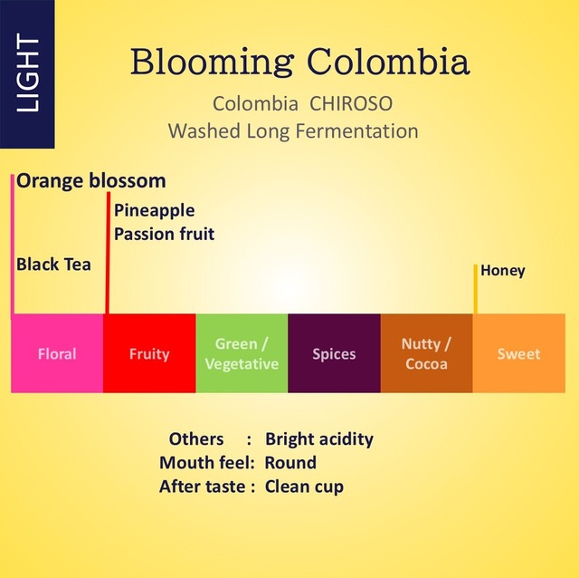 Bloomimg Colombia 150g (Light Roast)