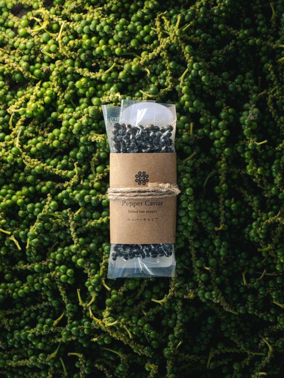 2025年産ペッパーキャビア20g