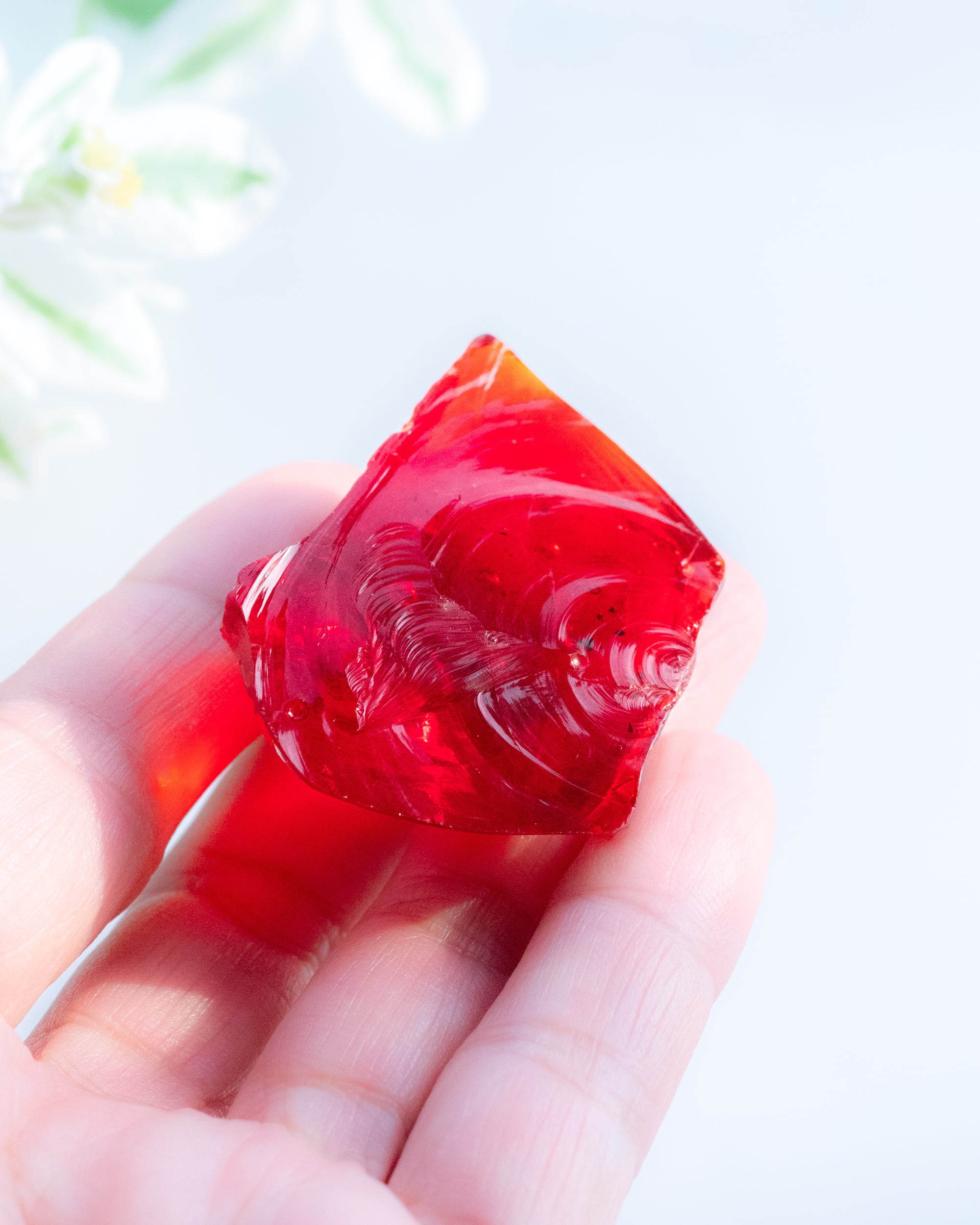 ピスタチオ様★専用★超本物‼️ネリーランド産✡️アンダラ スカーレットシフト ピスタチオ様☆専用☆超本物‼️ネリーランド産✡️アンダラ