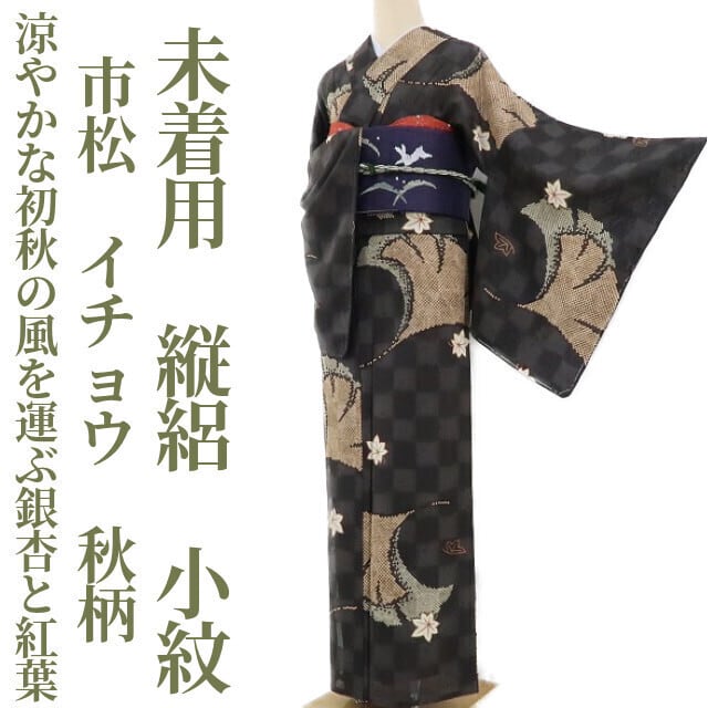 未着用 縦絽 市松 イチョウ 秋柄 夏着物 正絹“爛漫と舞い、涼やかな 