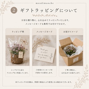 ミニカレイドフレームブルーラウンド｜フレンチレース　シャビーシックな壁飾り　自分へのご褒美　プレゼント