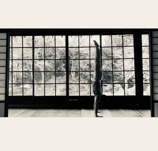 【アヌサラヨガ 1day Practice in豊橋】  ～Art of Asana with beautiful Kula ～　5月26日