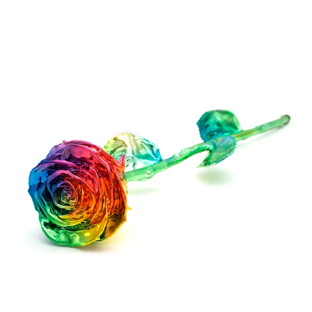 LIBERTY ROSE RAINBOW