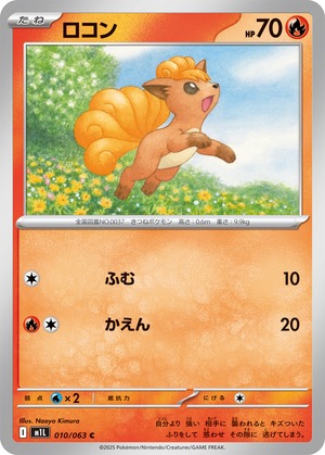 ロコン m1L 010/063