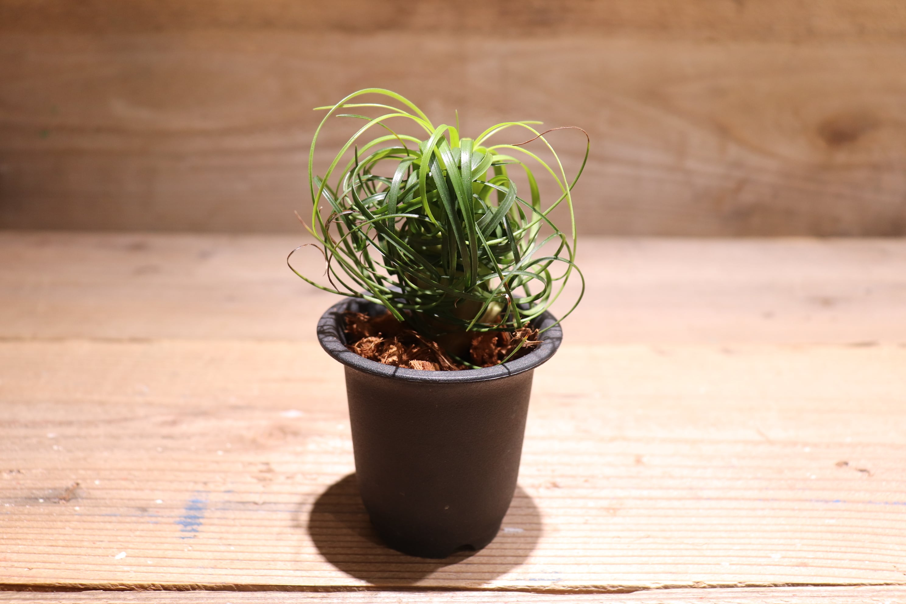 0e39891b67edd9105088b5d3c05b5f