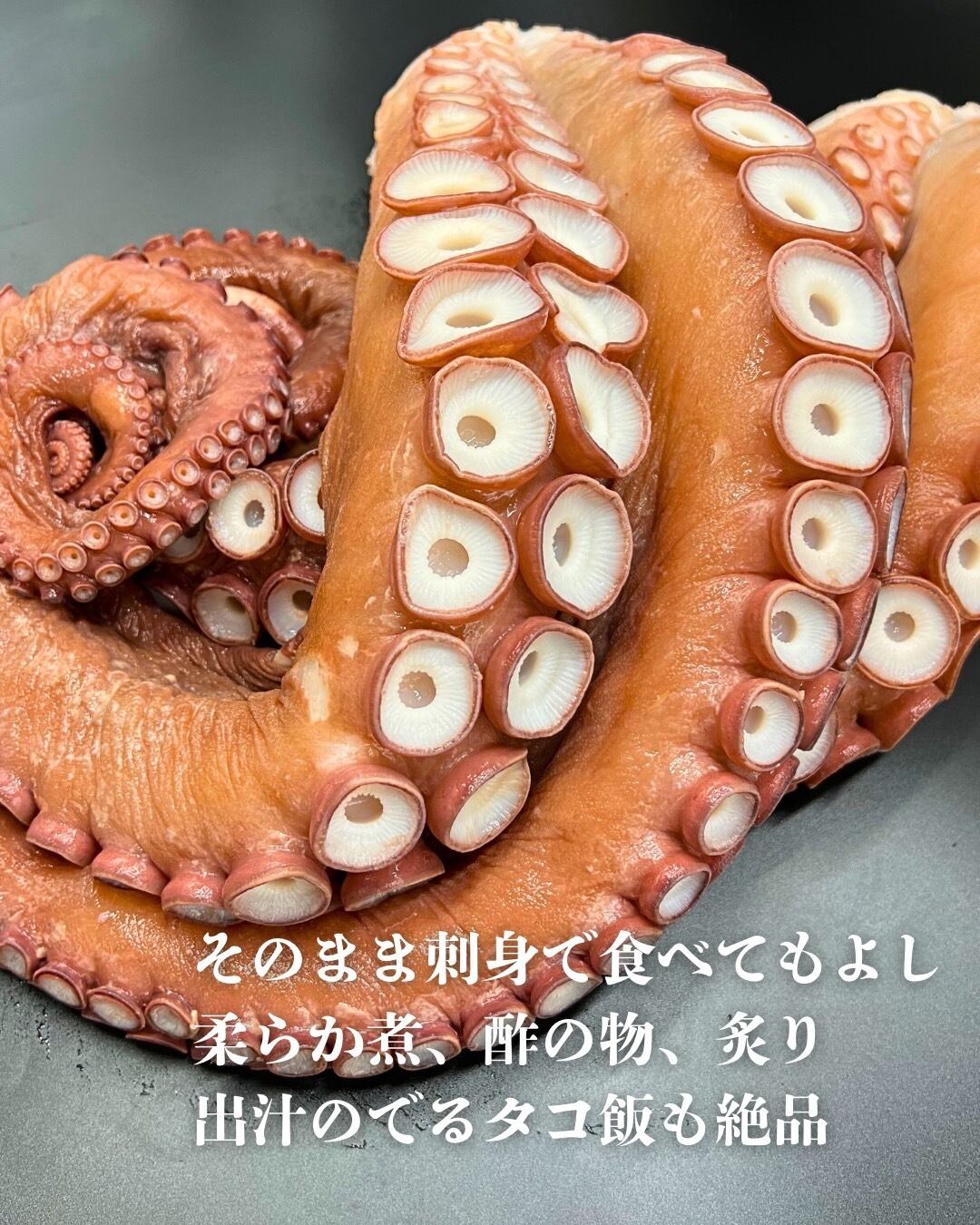 三石産タコ足ボイル大サイズ(2本足) | なまら新鮮北海道