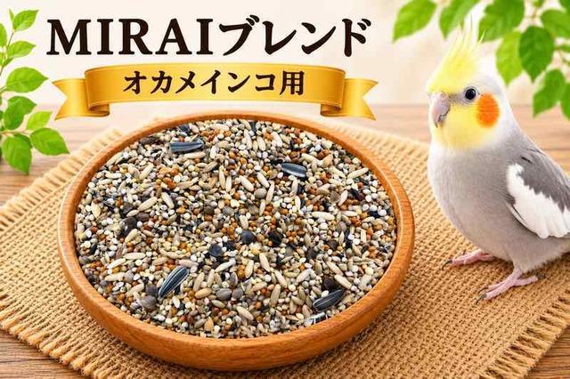【MIRAI-UPオリジナル】MIRAIブレンド オカメインコ用1kg
