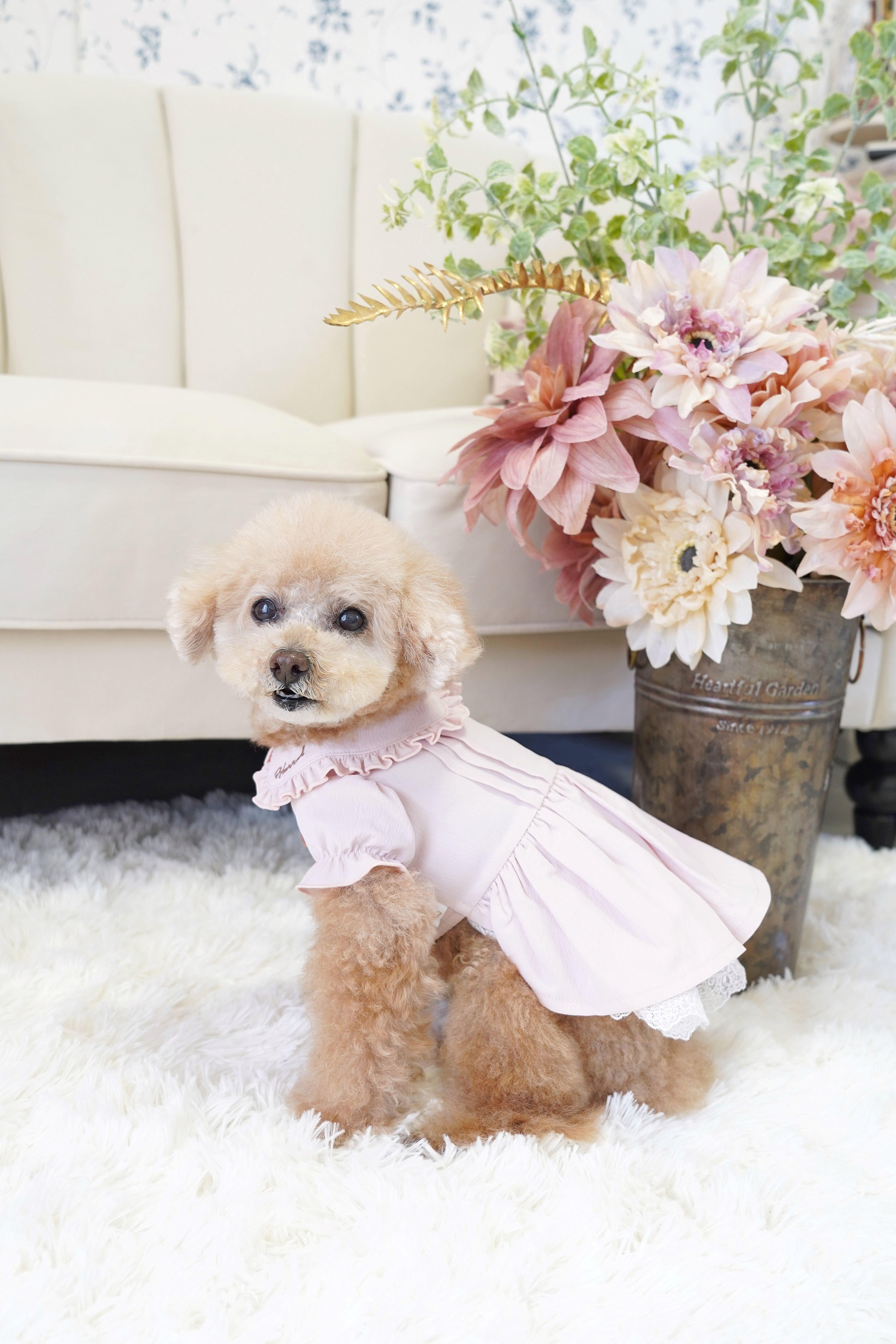 nougat（ヌガー）XS-XL.DS | hannah