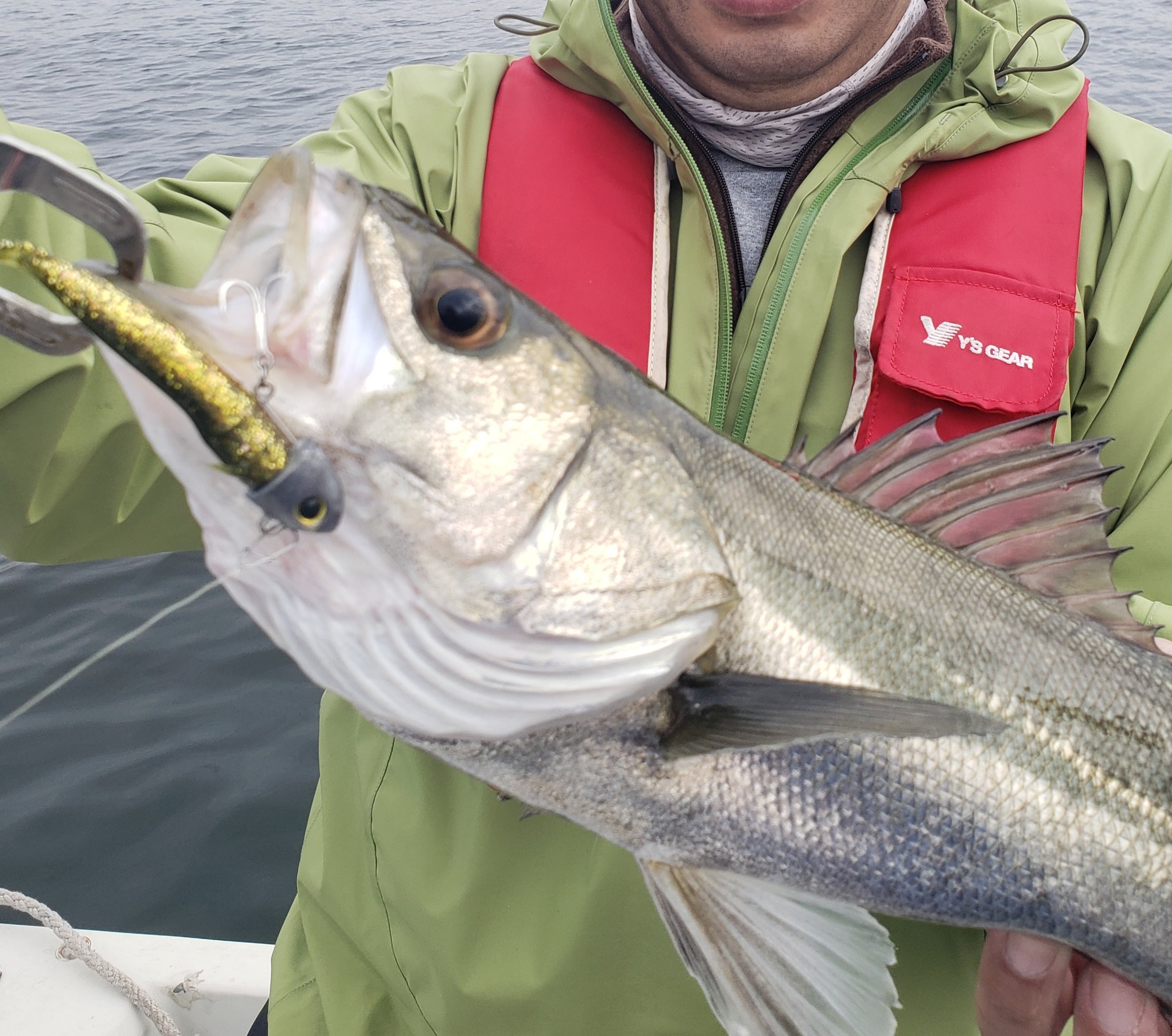 GOOBERオリジナル | goober