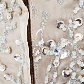 パーティドレス fine feathers ファインフェザーズ ワンピース ドレス 演奏会 発表会 カラードレス 結婚式 披露宴 前撮り 撮影 ブラウン系 ベージュ系 ゴールド系 高級感 光沢感 おしゃれ ドレスアップ フォーマルスタイル シンプルエレガンス レディース 結婚式二次会 上品 撮影会 華やか 結婚式用 フォーマルドレス