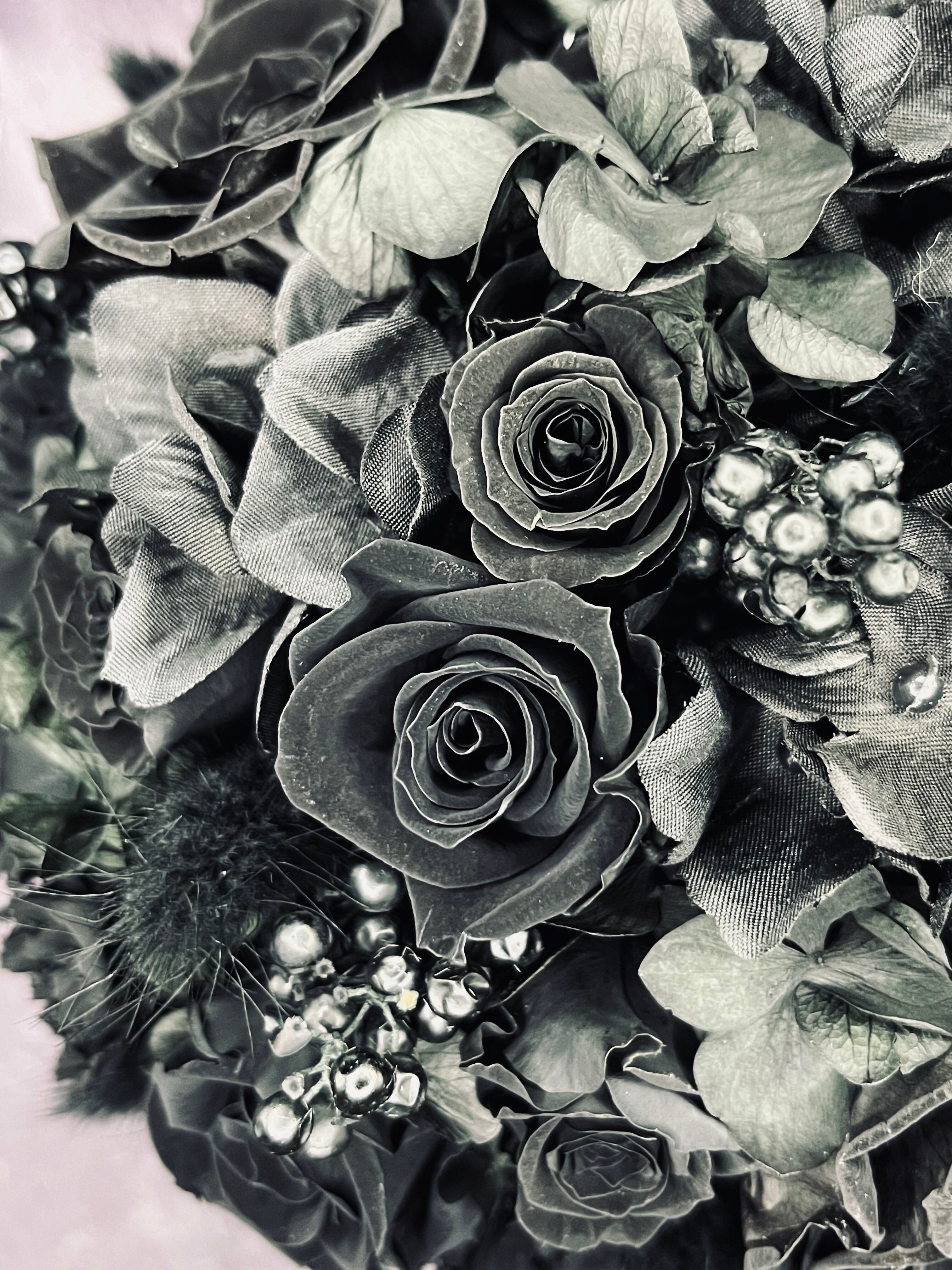 catsシリーズ premium ーkuro(黒)ー | Flower Design Marin(フラワー 