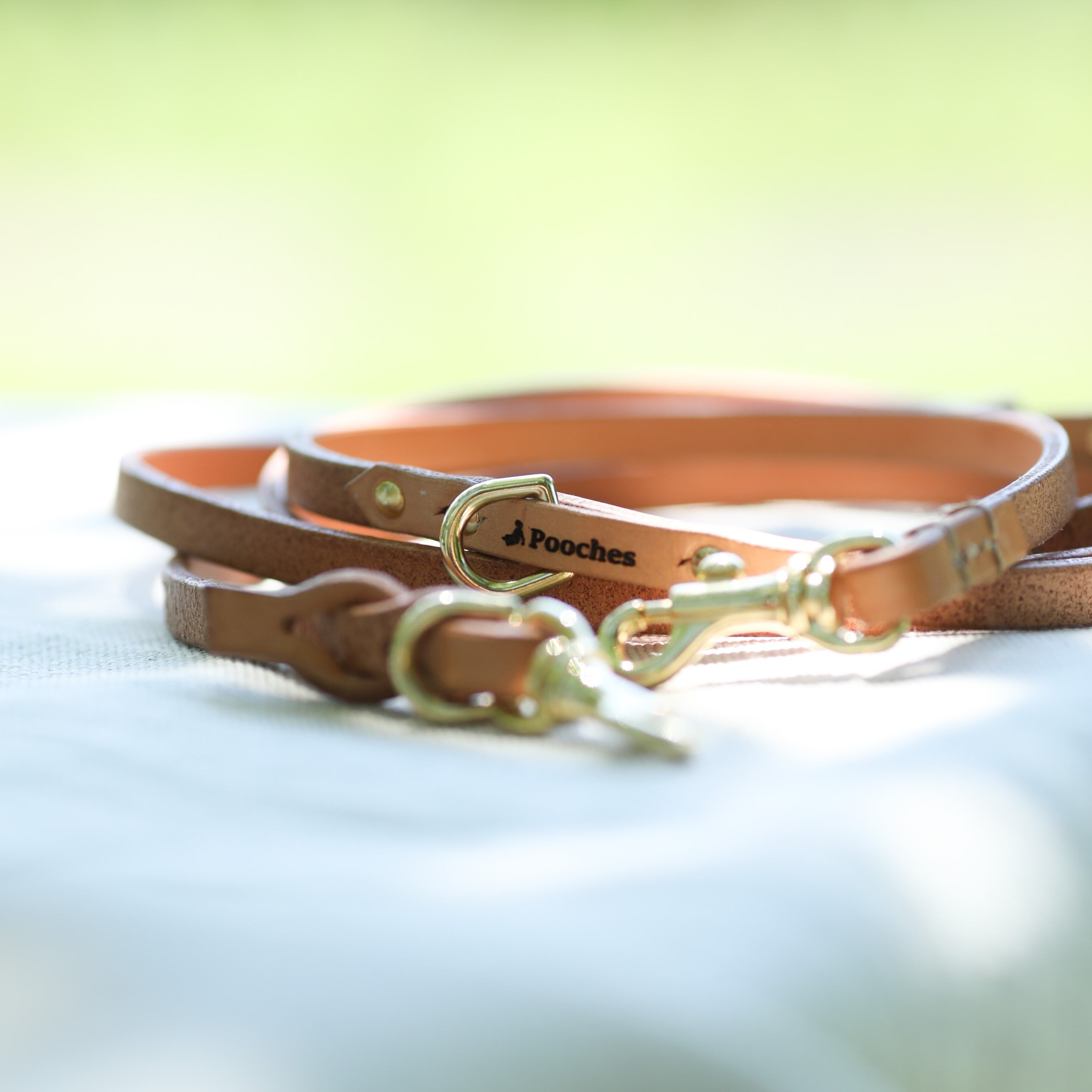 小型犬用本革製 3WAYロングリード | Pooches Dogwear