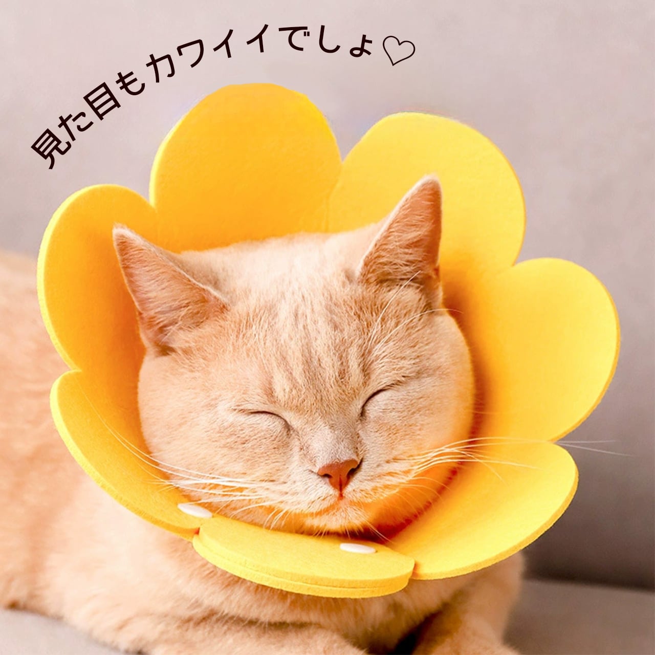 猫用 ソフト エリザベス カラー 超軽量 軽い 柔らかい 痛くない