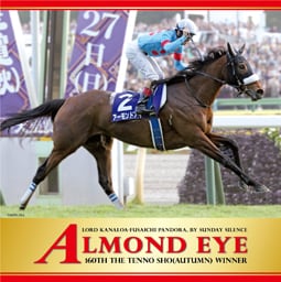 アーモンドアイ号（天皇賞・秋）ハンドタオル | 福馬ストア