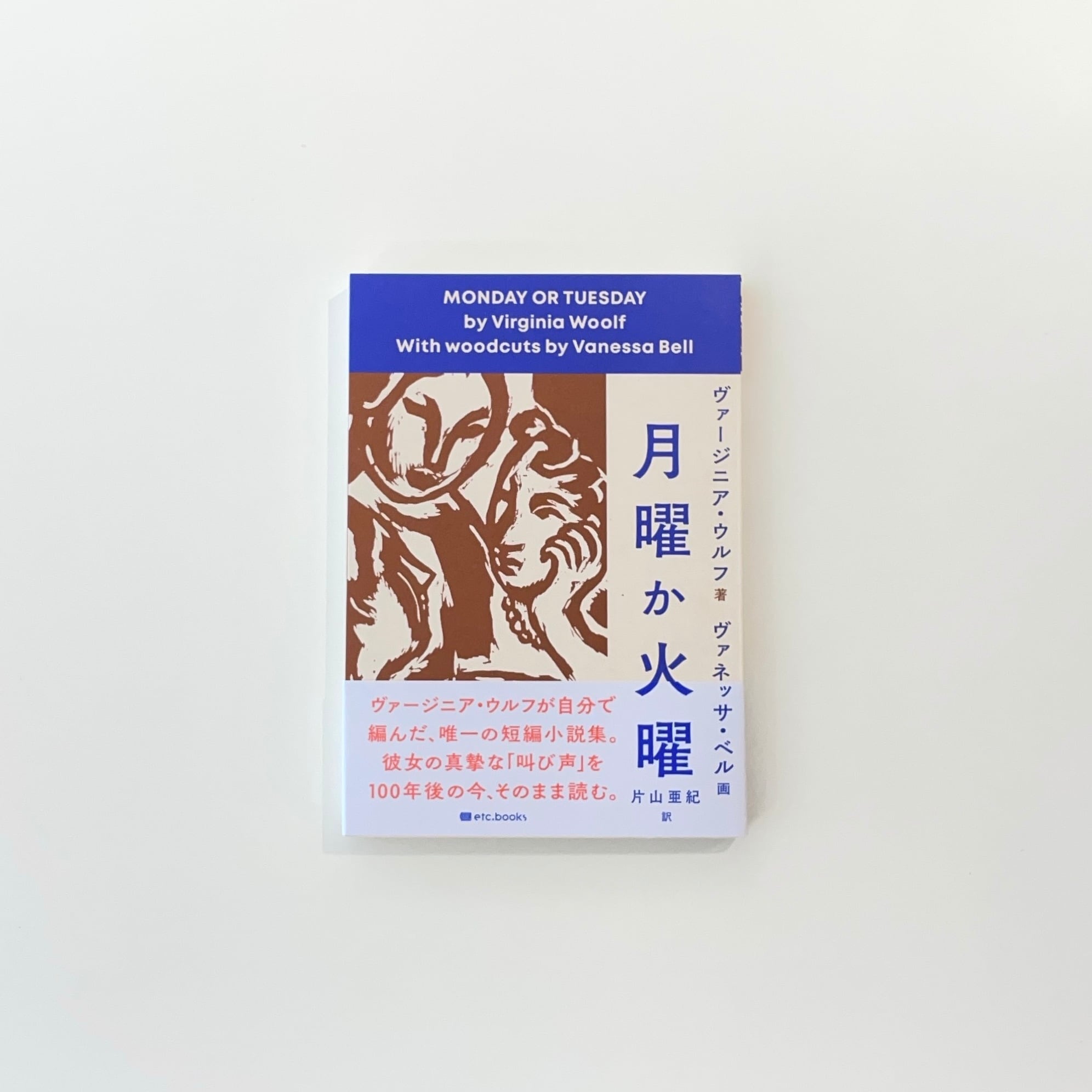 ブルースの歴史｜ポール・オリヴァー | 本の栞