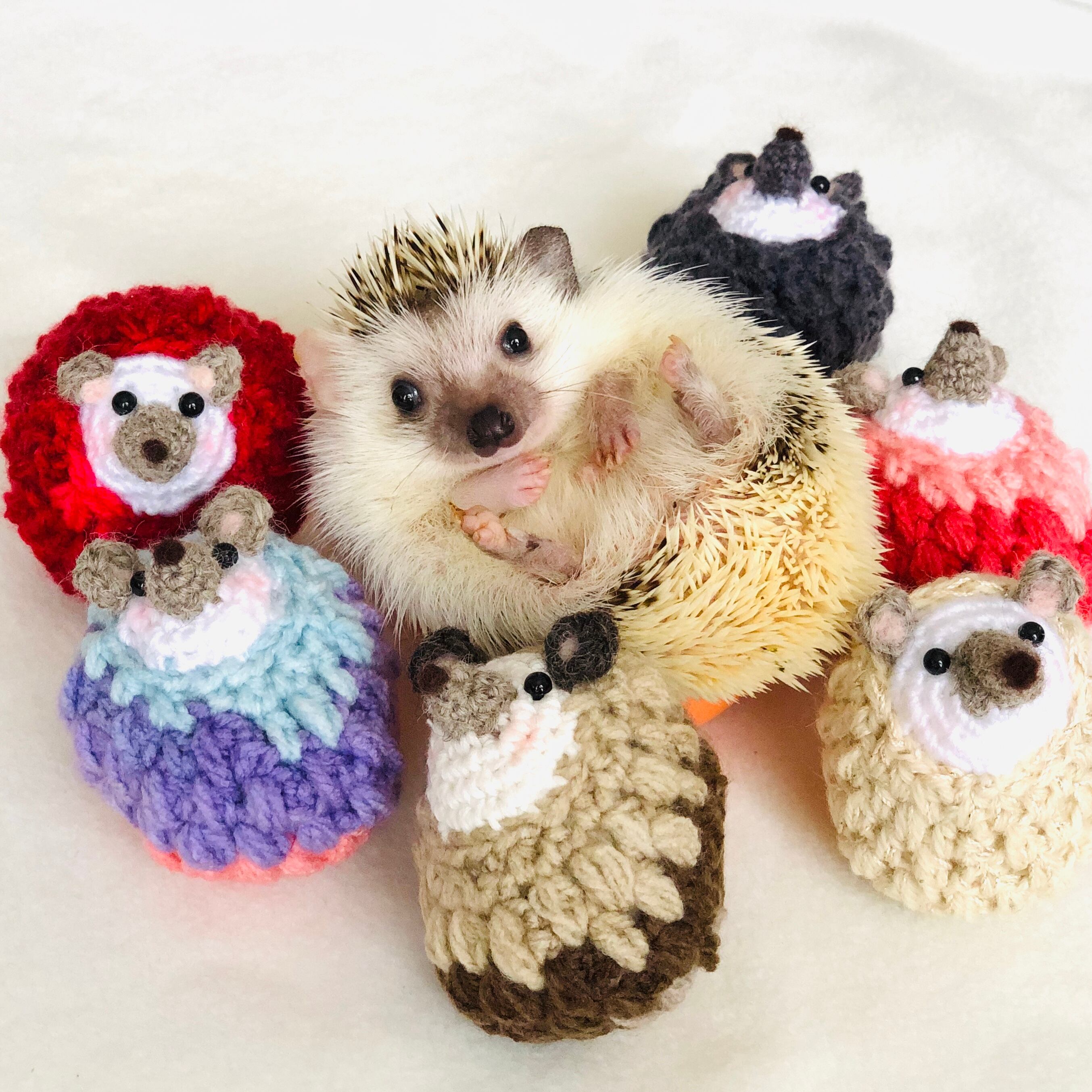 0e42571a8b9e12314705142276c022