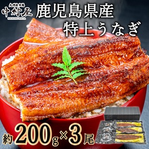 鹿児島県産うなぎ蒲焼き 特大 3尾(600g) タレ＆山椒付き