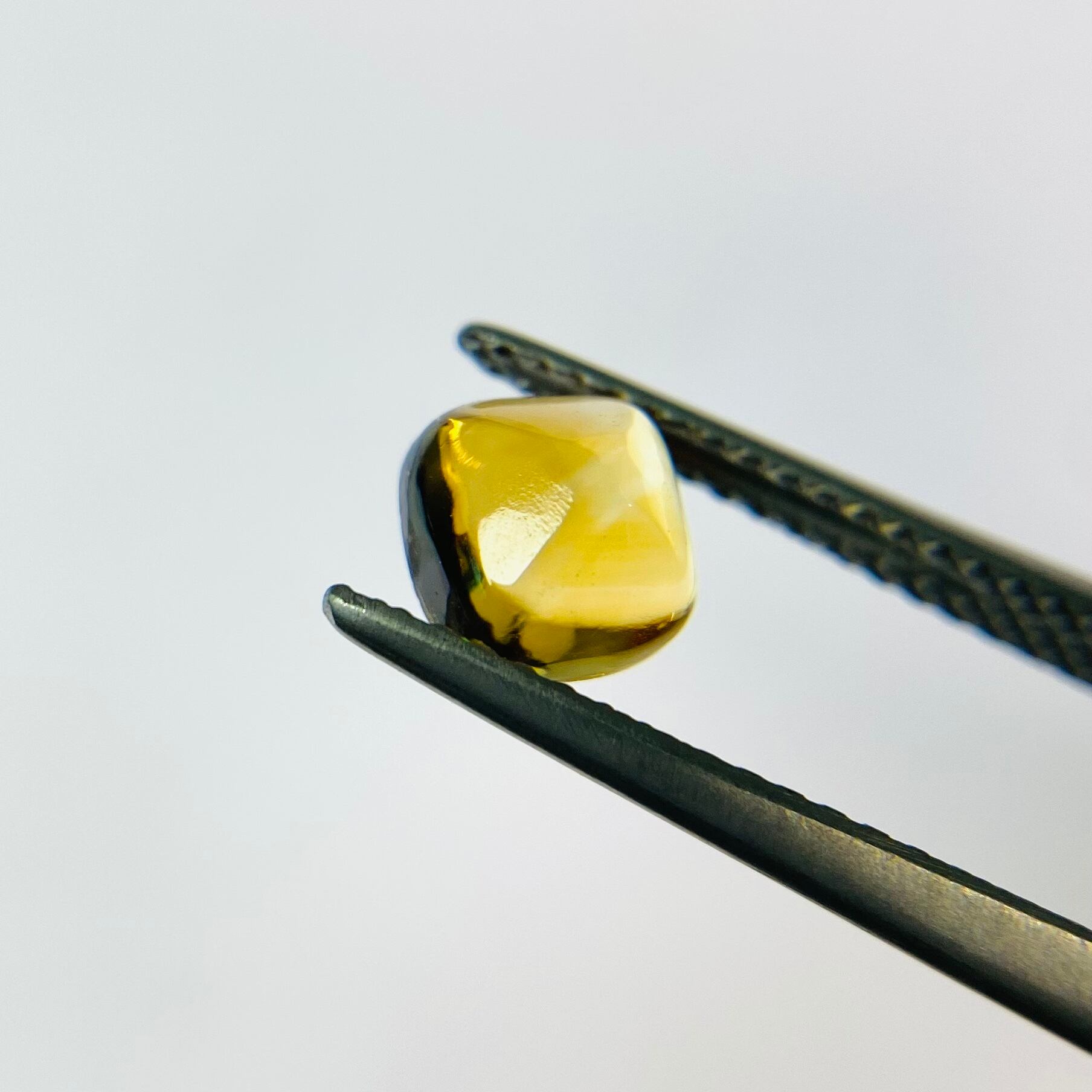 初売! シュガーローフ3色セット