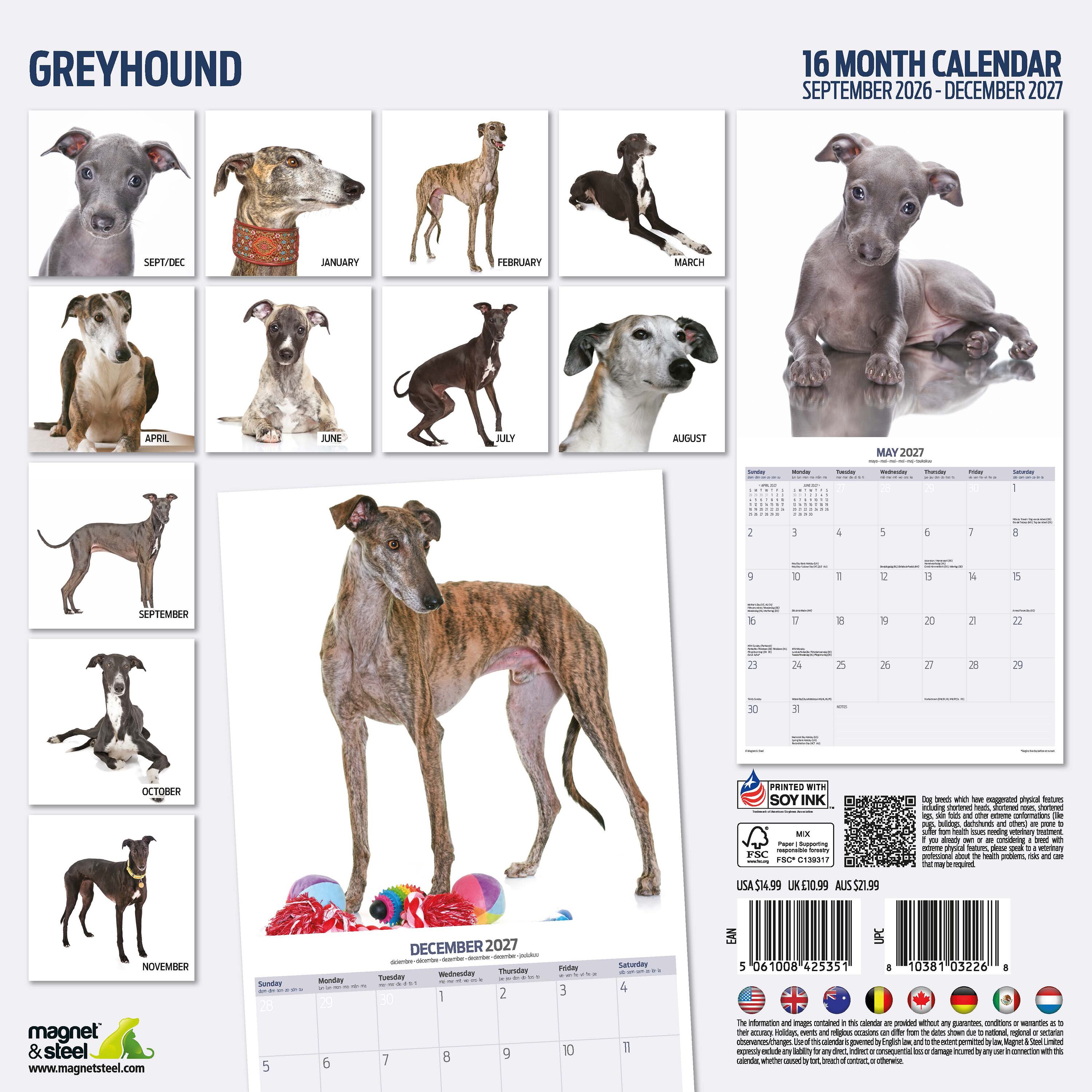 【2027年版】英国製犬種カレンダー【グレイハウンド】 Modern 2027年版