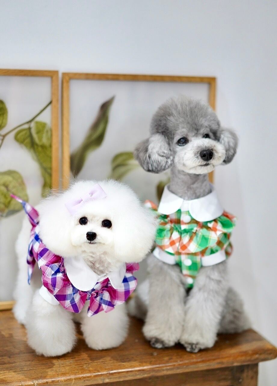 【予約】MT0001 made with love TOP-7