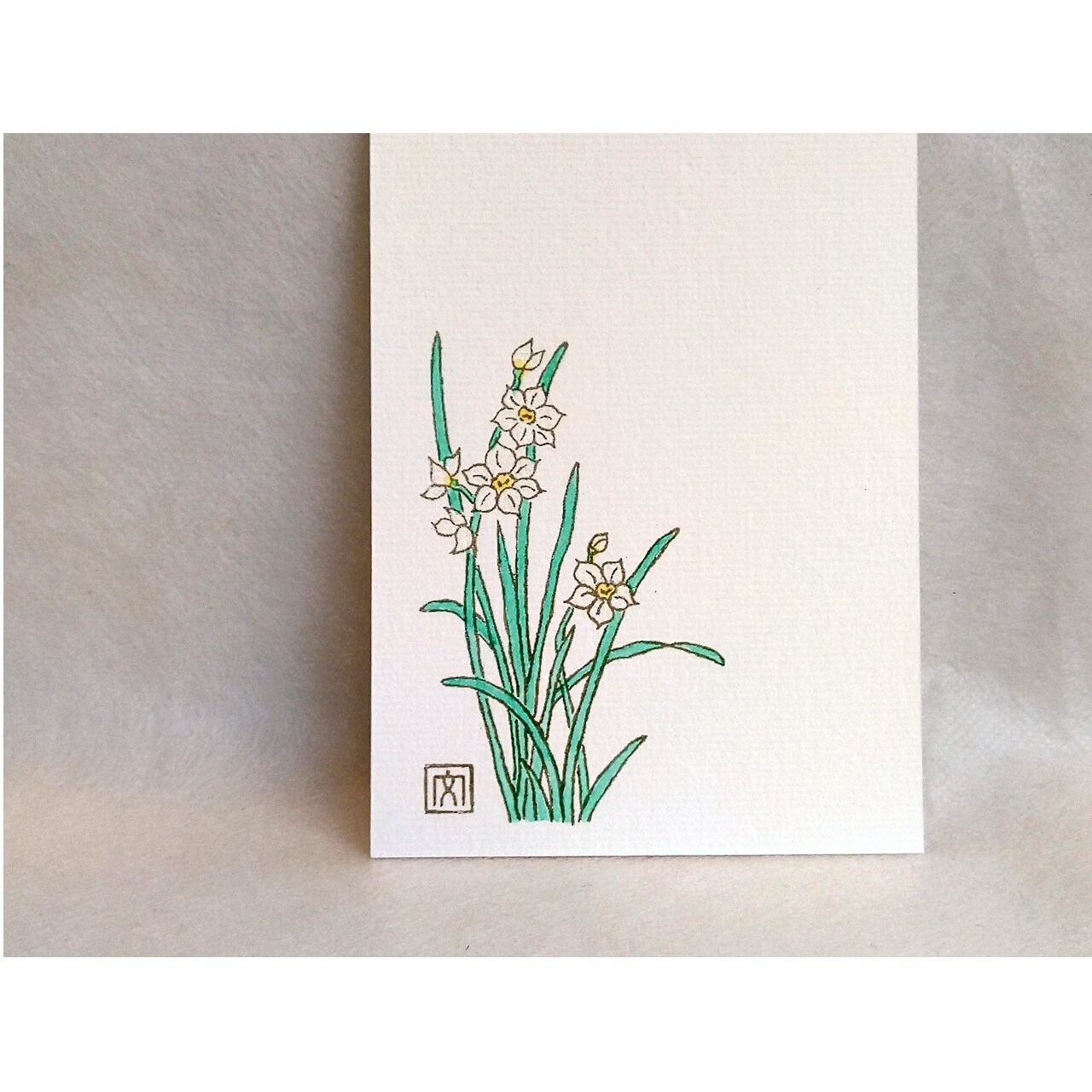 水仙】】はがき・ポストカード 2枚入り | 文鳥