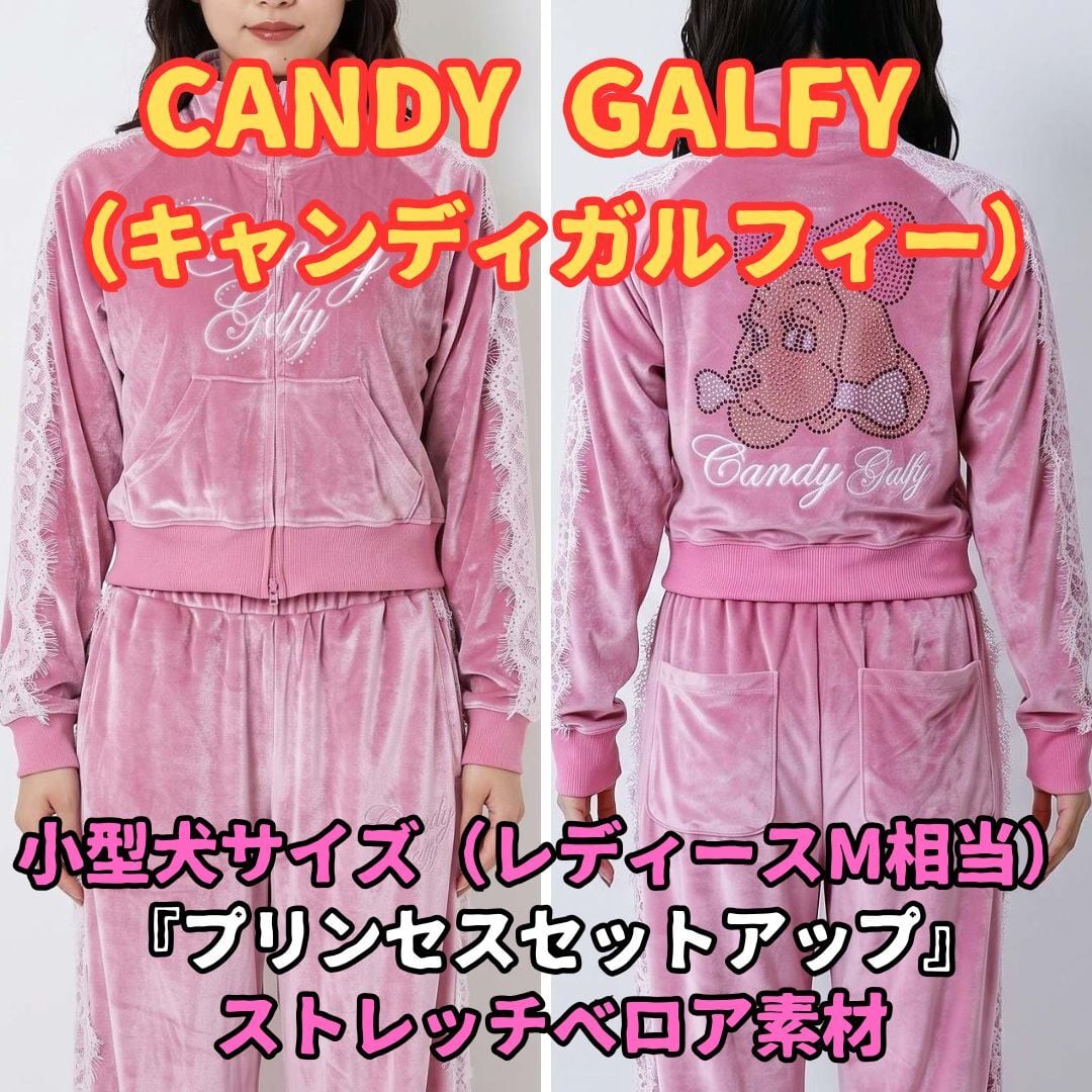 ガルフィー | あさひや木更津