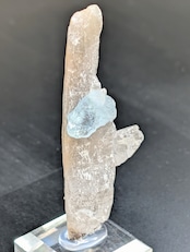 希少色エッチドフローライト/クォーツ Erongo Moountains, Karibib District, Namibia SS18000930