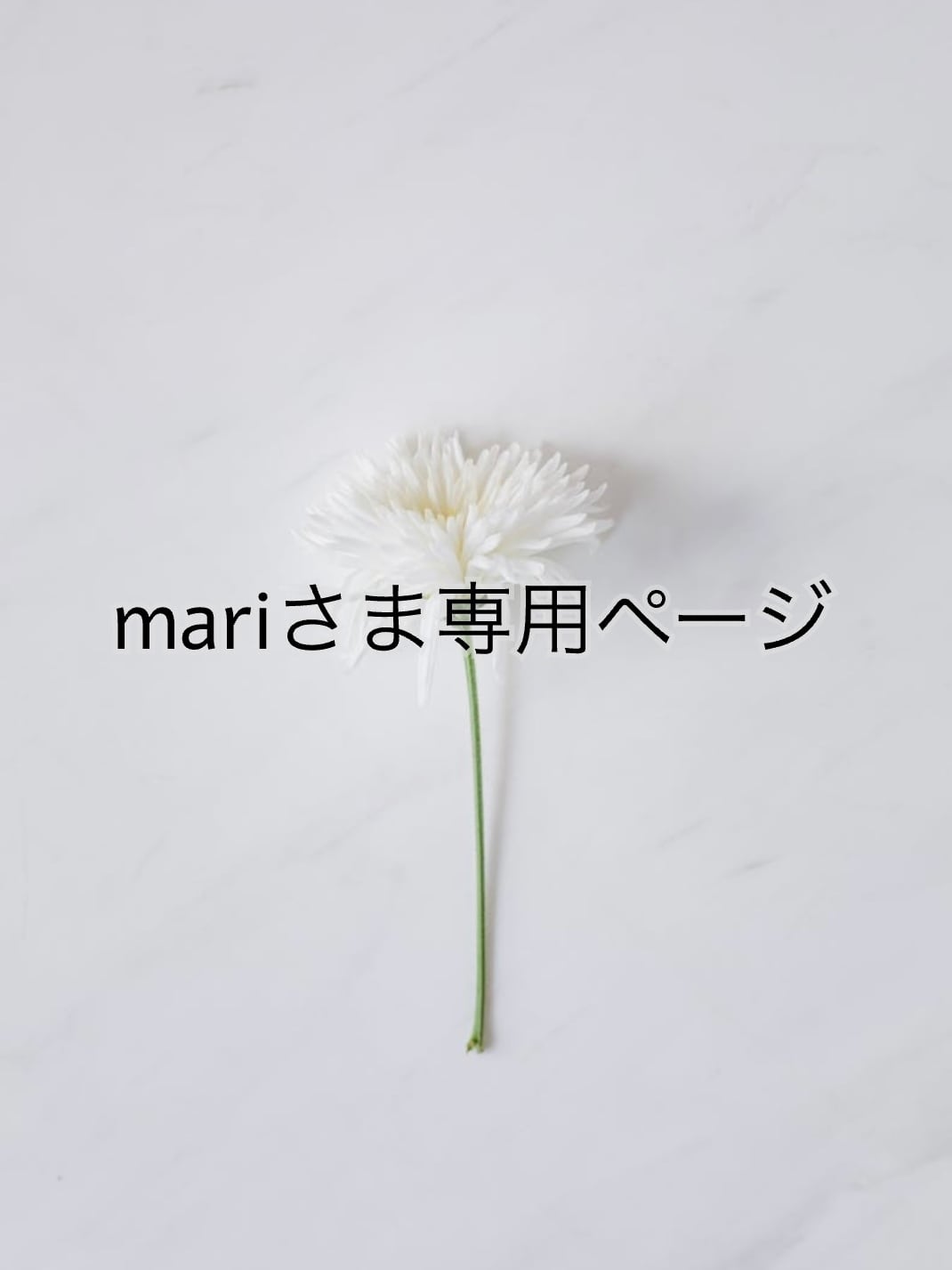 Mさま専用ページ | common vintage