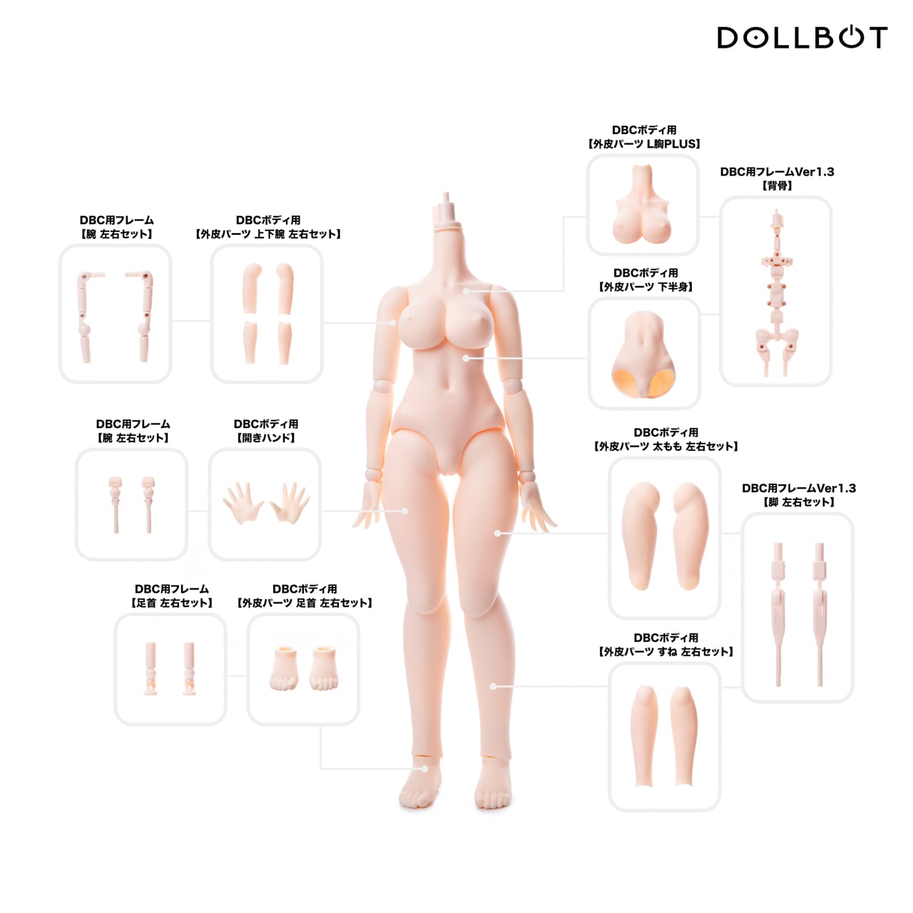 DBCボディ（高可動ボディPLUSタイプ・フレーム Ver1.3仕様） | DOLLBOT