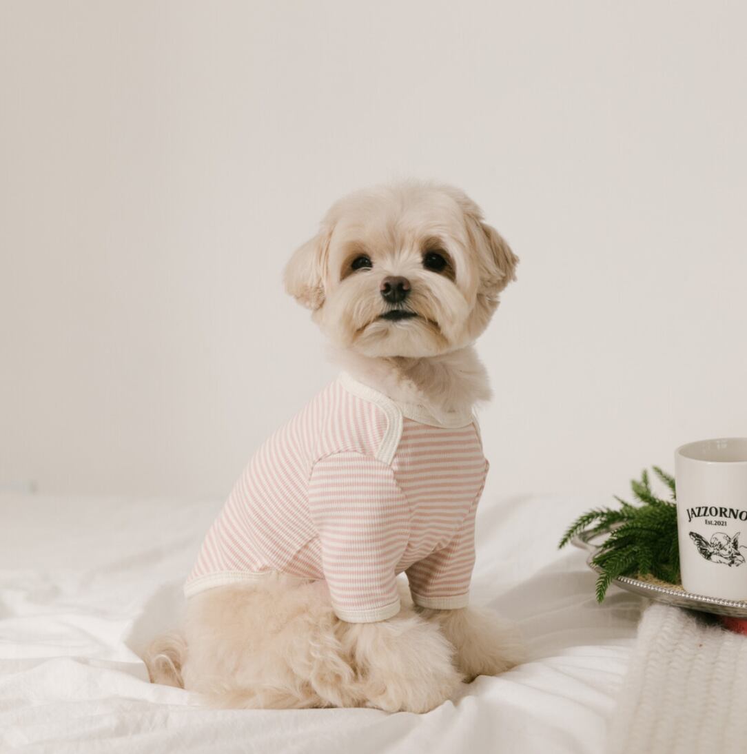 予約【kiki＆nini】Warming Day Tee (pink)