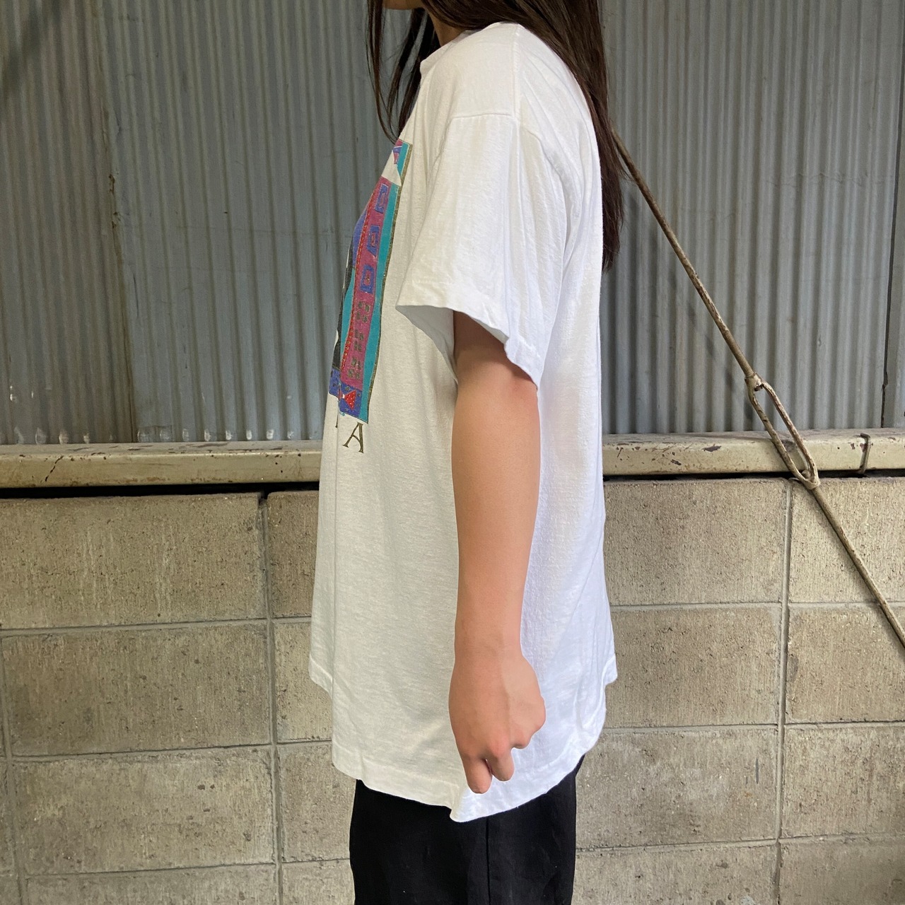 90年代 ALASKA ツノメドリ 鳥 IAAC アート プリントTシャツ メンズL 