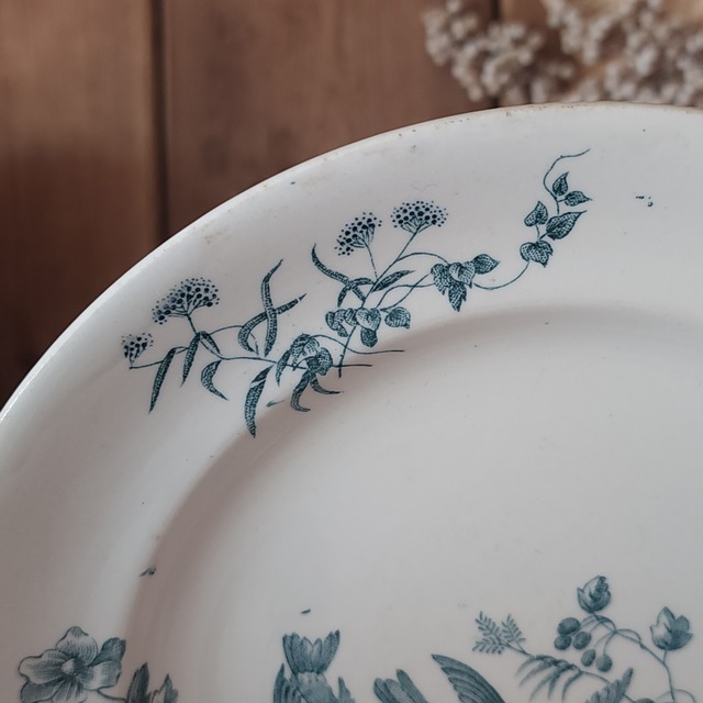 LONGWY  ロンウィ窯 デザートプレート/MIGNON