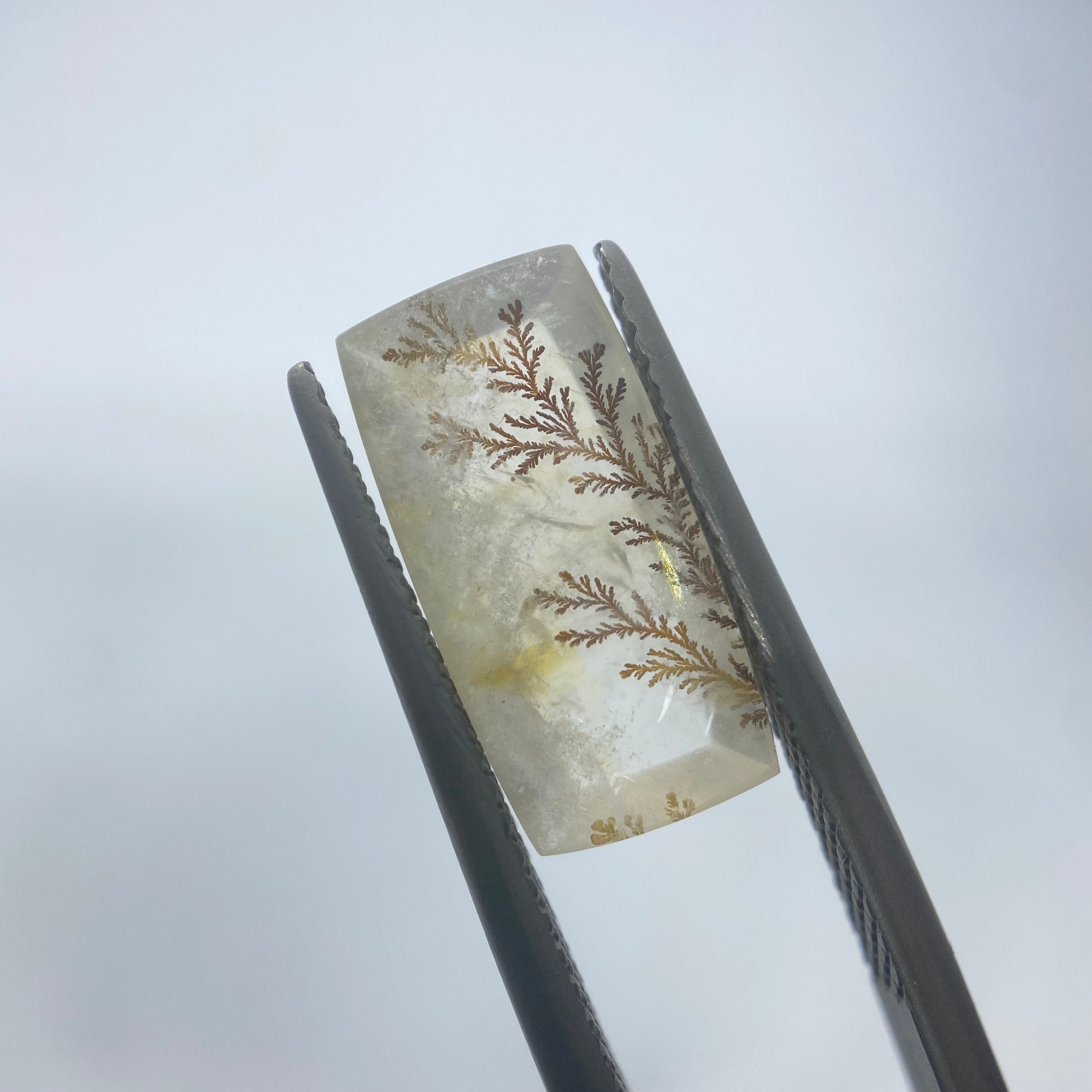 インスタライブでご紹介　デンドリティッククオーツ