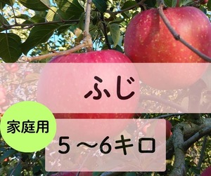 ☆11月25日から　ふじ【家庭用5～6キロ】3,850円(税込)