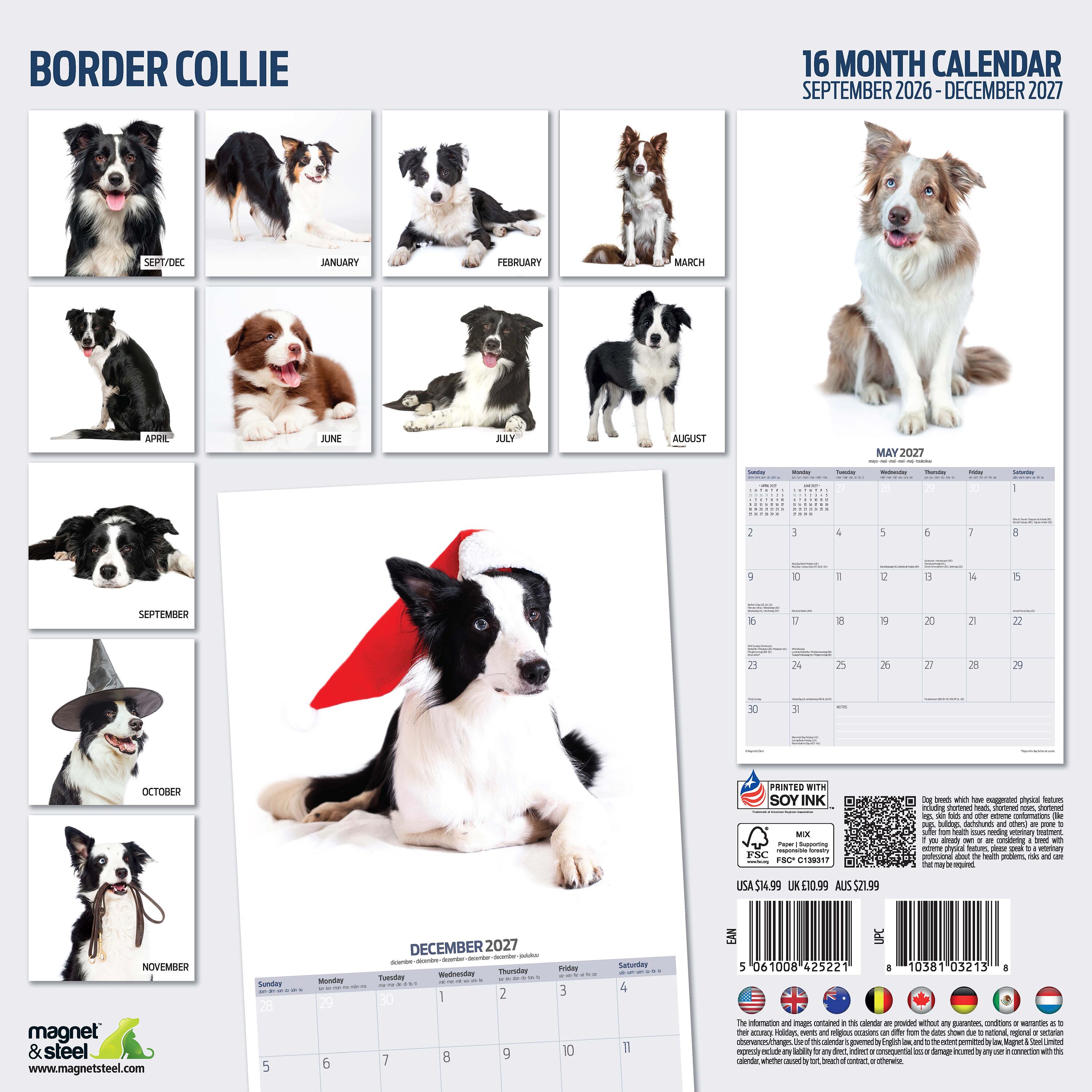 【2027年版】英国製犬種カレンダー【ボーダー・コリー】 Modern 2027年版