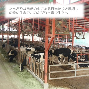 京都・美山町産の希少な生乳使用｜自然の恵み 美山牛乳900ml×6本セット（低温殺菌・産地直送）