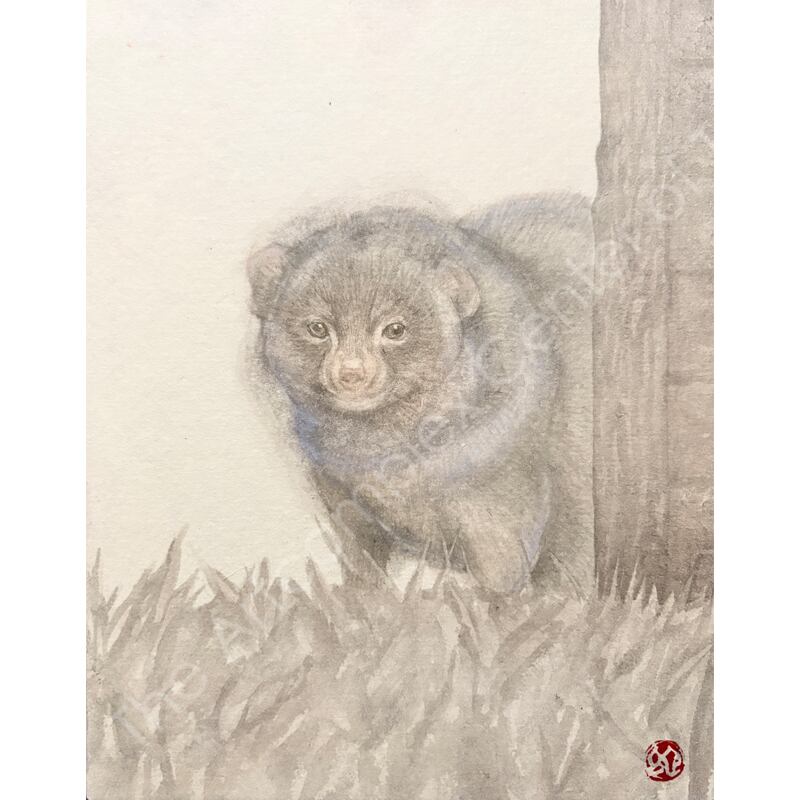 田中巳桃「鼬」