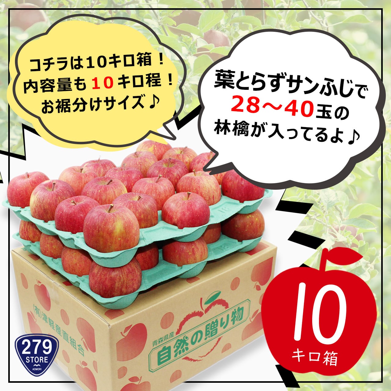 津軽産直組合直送　279STORE　送料無料】只今発送中！産地直送♪　A品　10キロ箱　糖度13度以上　葉とらずサンふじ　28～40玉