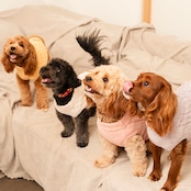 TOREOTTO38 DOG KNITVEST / PINK