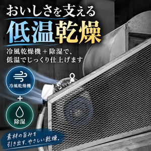 日本海産【ソフト食感】白身いか3尾入｜添加物不使用・サラダや炙りで