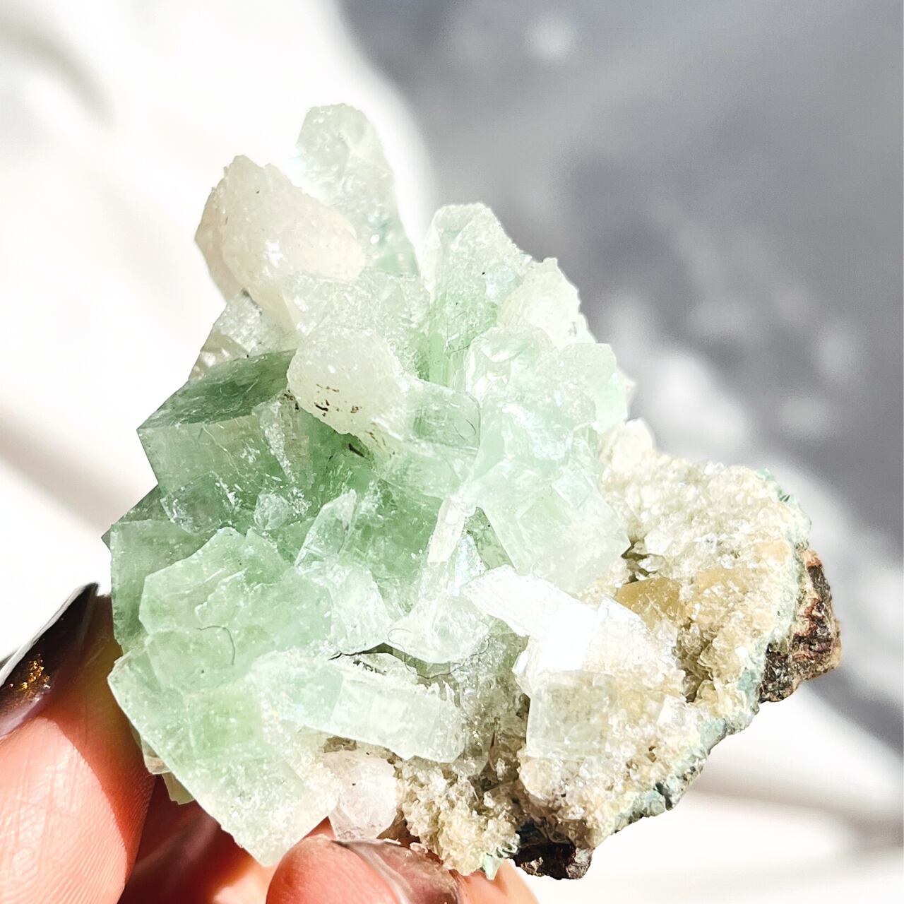 0e636b033d81d601bb12d25d1131bf