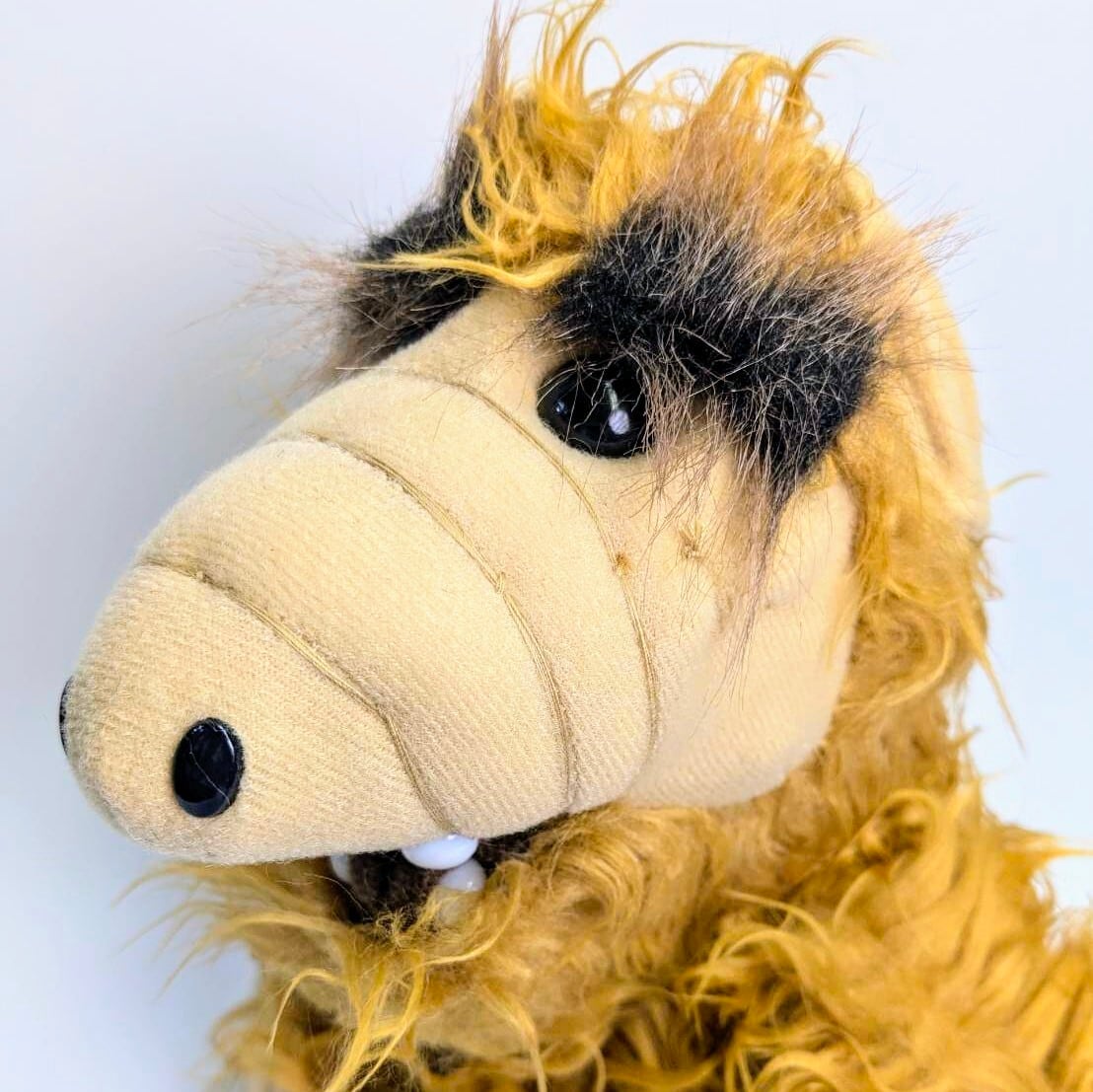 再入荷!【ALF (アルフ) 】 ぬいぐるみ 〚アメリカン雑貨 アメトイ〛