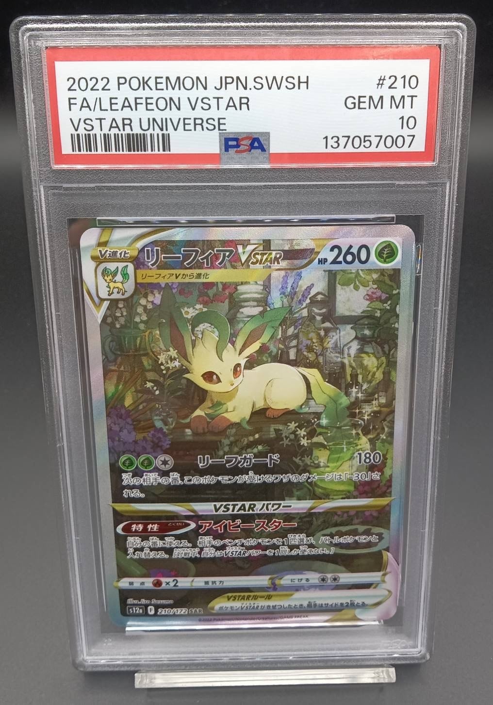 PSA10 カメックス(25th)【P】{003/025} [S8a-P] | ワンピース
