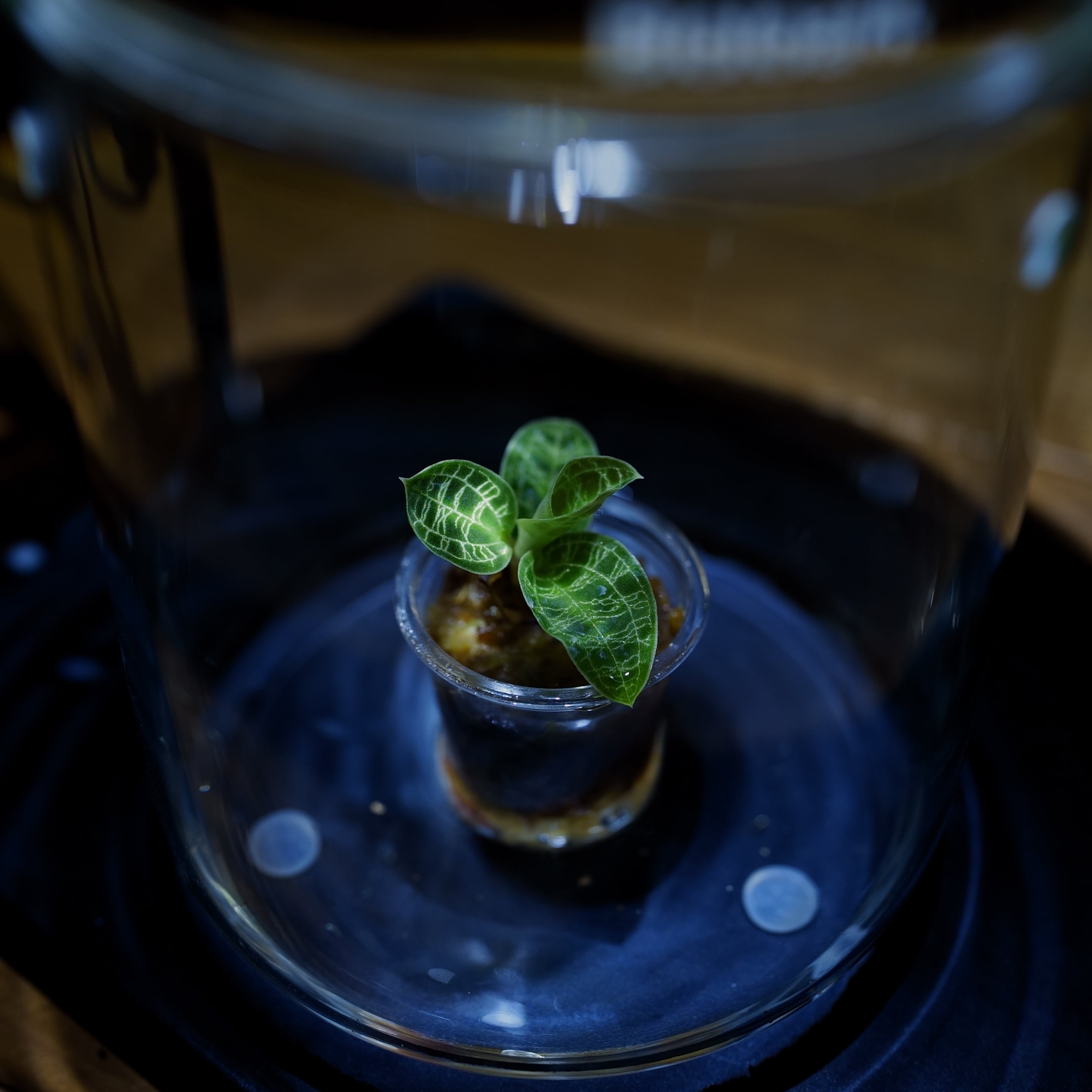 0e64f48b1d93c4ff58f42ae6eb42f8