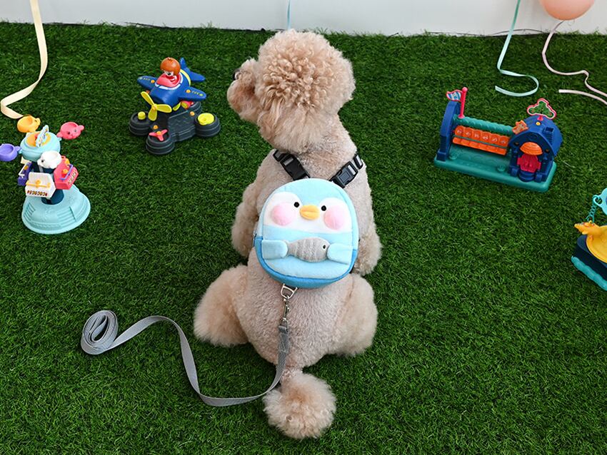 ZOOハーネス&リードセット ver.2  / 犬 犬用 ハーネス 小型犬 中型犬 ドッグウェア ペット用品 胴輪 犬用リュック