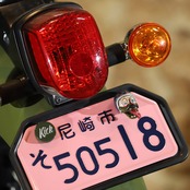 CRAZY CUB DUCK NumberBolt /CC110グリーン
